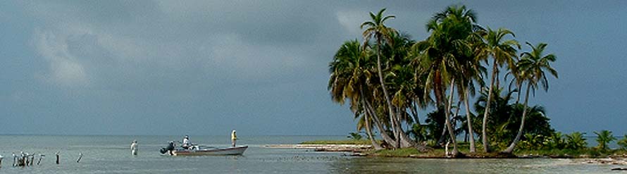 Belize Tide Chart