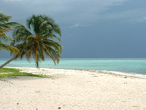 Belize Beach at Ranguana Caye