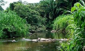 Cockscomb river