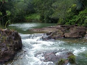 Hidden Valley Orchid Waterfall2