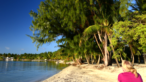 Southwater Caye Shoreline